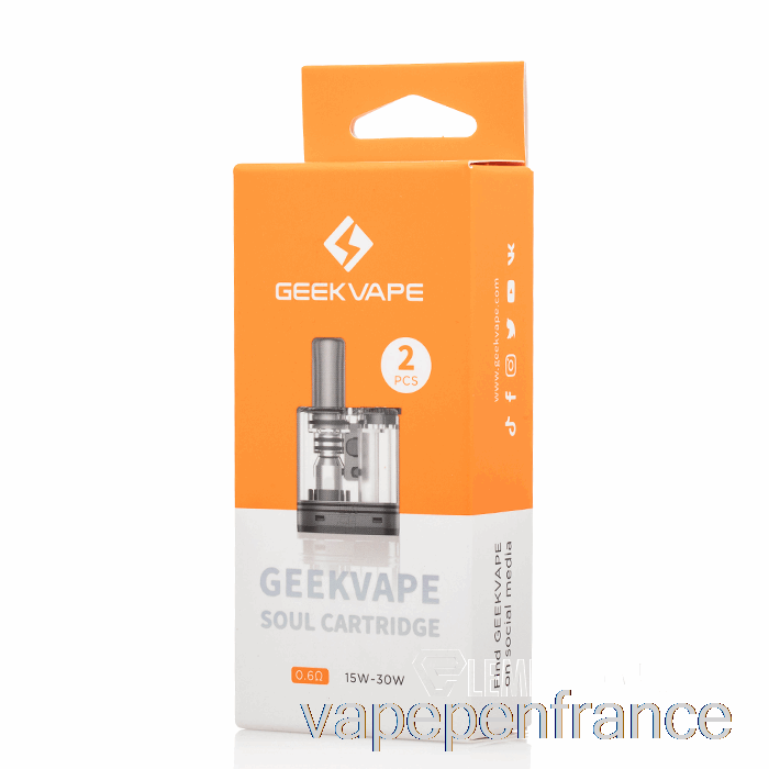 Geek Vape Soul Remplacement Pods 0.6ohm Pods Vape Stylo
